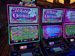Berbagai mode Shio Game dengan opsi taruhan dan pembayaran di besar win